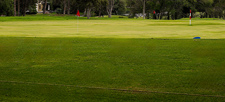 Pasto Fairway